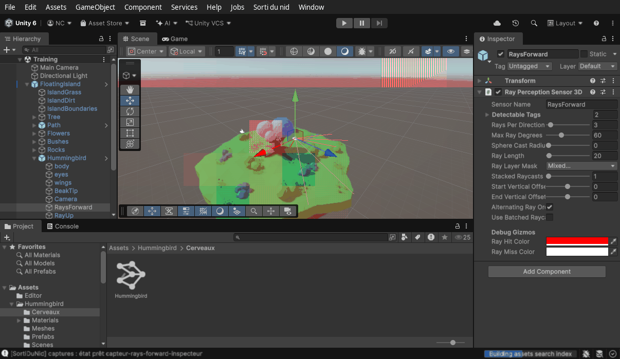 Unity 6 : RaysForward sélectionné dans la hiérarchie du colibri, le composant Ray Perception Sensor 3D rempli (3 rayons par direction, 60 degrés, longueur 20). Dupliquer ensuite pour RayUp et RayDown.