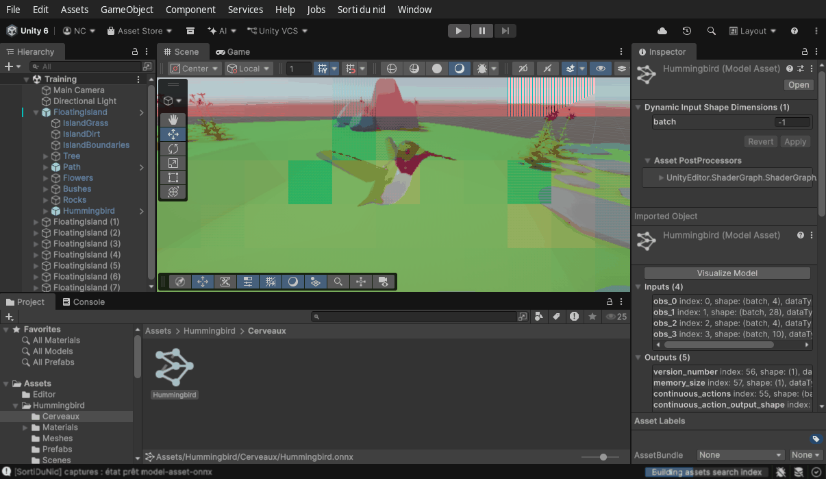 Unity 6 : le fichier Hummingbird.onnx importé comme Model Asset d'Inference Engine (entrées obs_0 à obs_3 avec un lot dynamique, sortie continuous_actions).